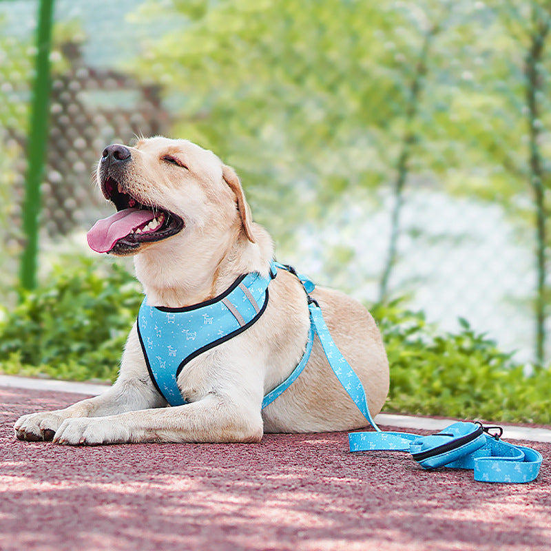 Vibrant Life Dog Harness Set