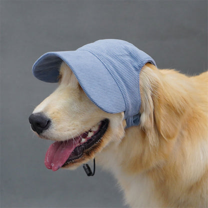 Outdoor Dog Hat