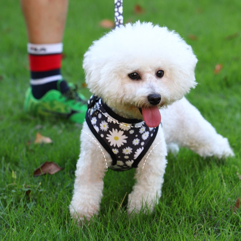 Daisy Harness Set