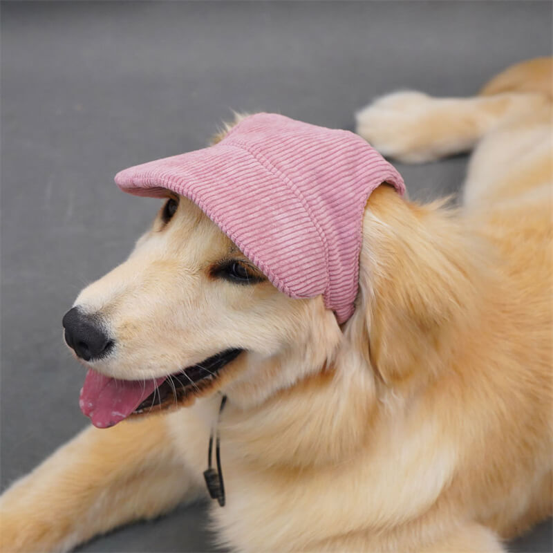 Outdoor Dog Hat