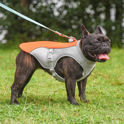 Dog Cooling Vest