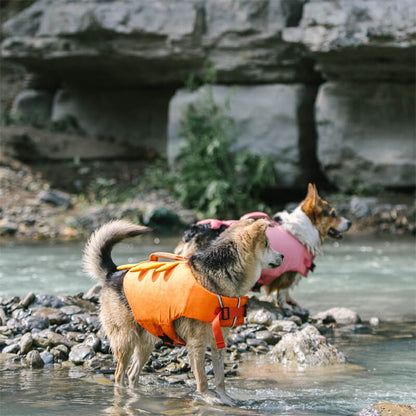 Dog Life Jacket - Mermaid and Crab