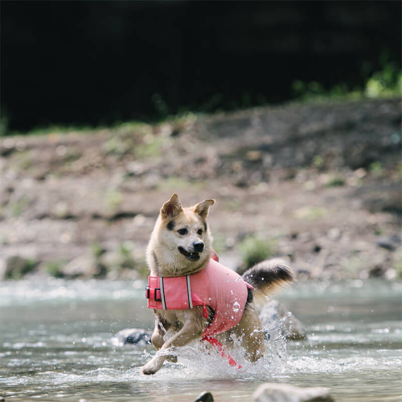 Dog Life Jacket - Mermaid and Crab