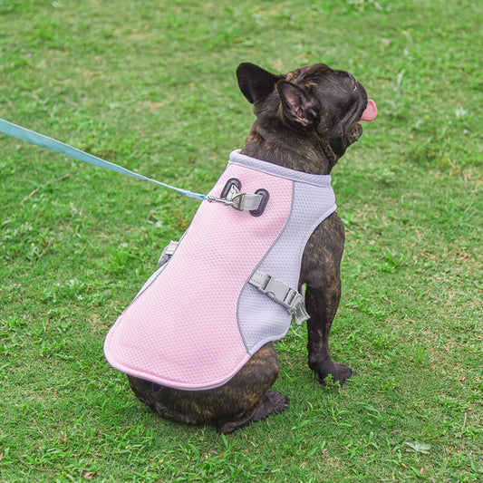 Dog Cooling Vest