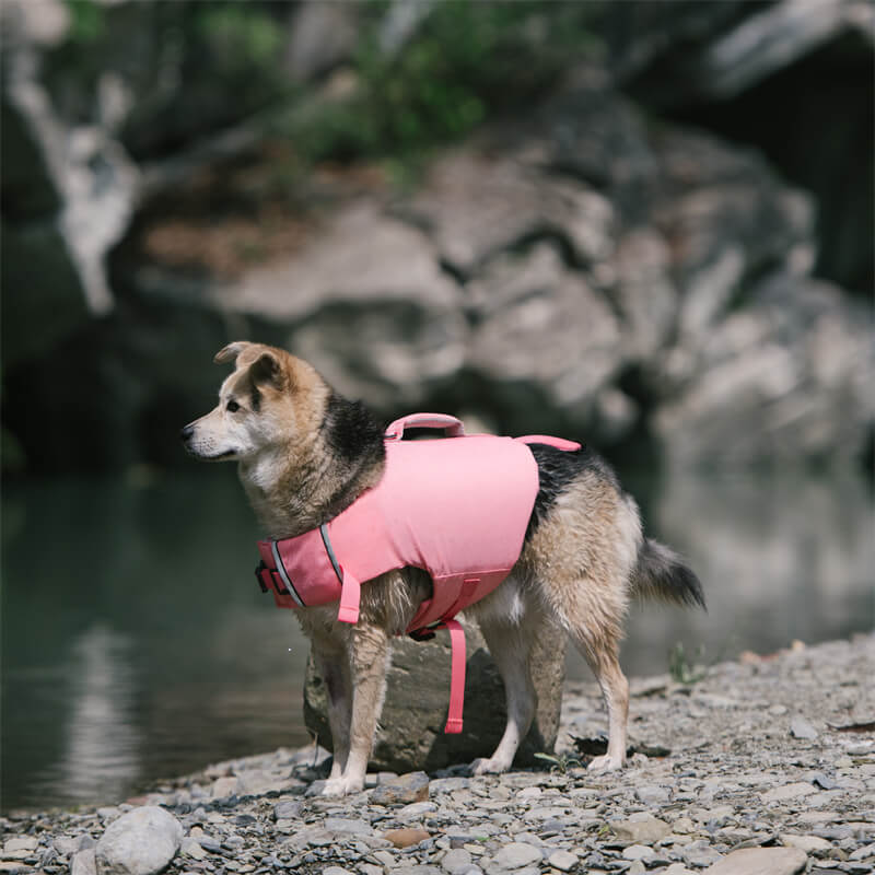 Dog Life Jacket - Mermaid and Crab