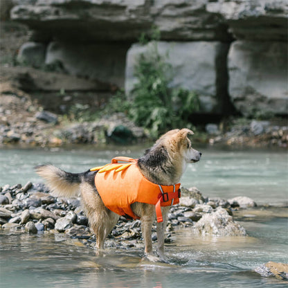 Dog Life Jacket - Mermaid and Crab