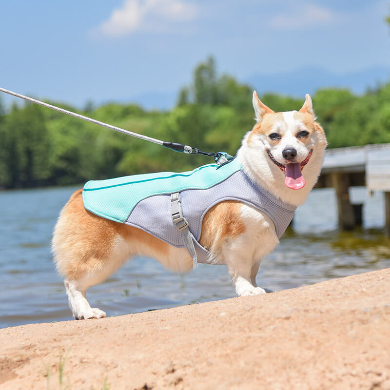 Dog Cooling Vest