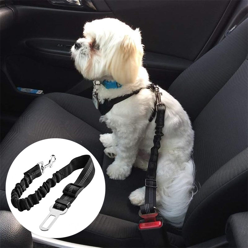 Paw Safe Seat Belt