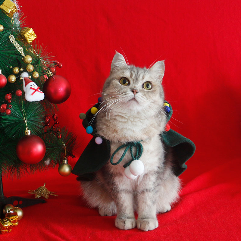 Christmas Pet Cloak with Star and Pompoms Decor for Cat and Puppy