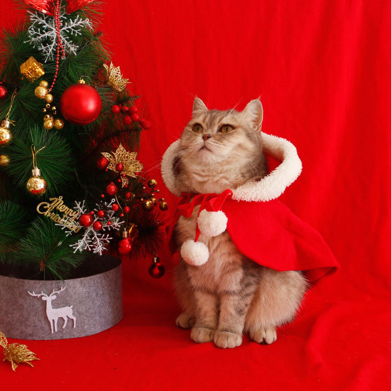 Christmas Pet Cloak with Hat Red Santa Poncho Cape for Cat and Puppy