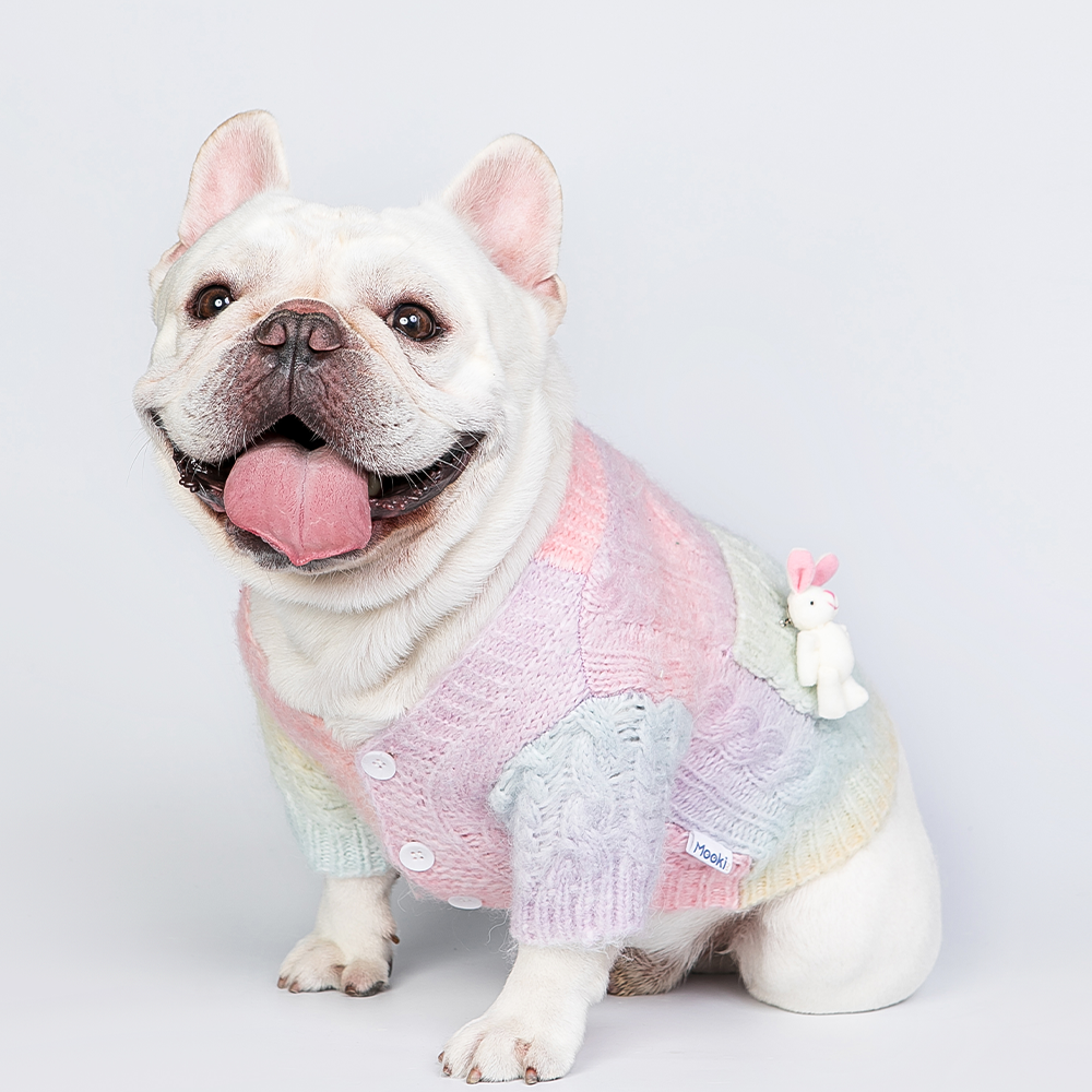 Cute Candy-colored Sweater for Small Dogs - Ideal for Cats too!