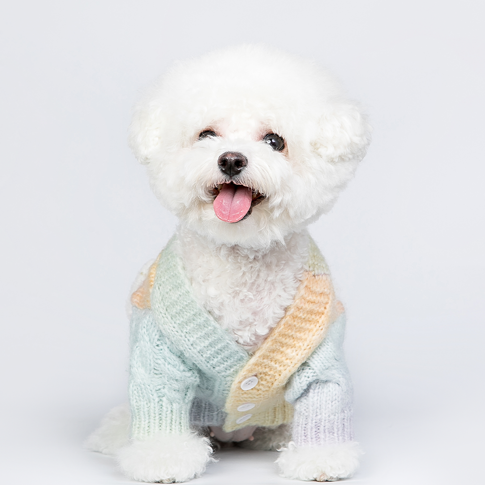 Cute Candy-colored Sweater for Small Dogs - Ideal for Cats too!