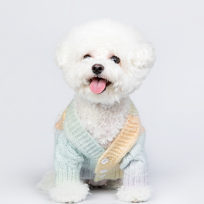 Cute Candy-colored Sweater for Small Dogs - Ideal for Cats too!