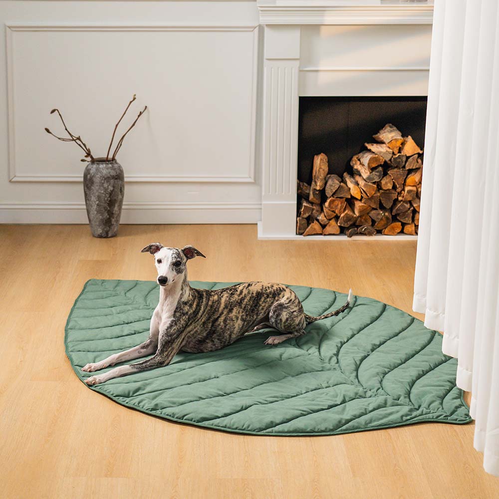 Leaf Shape Dog Blanket