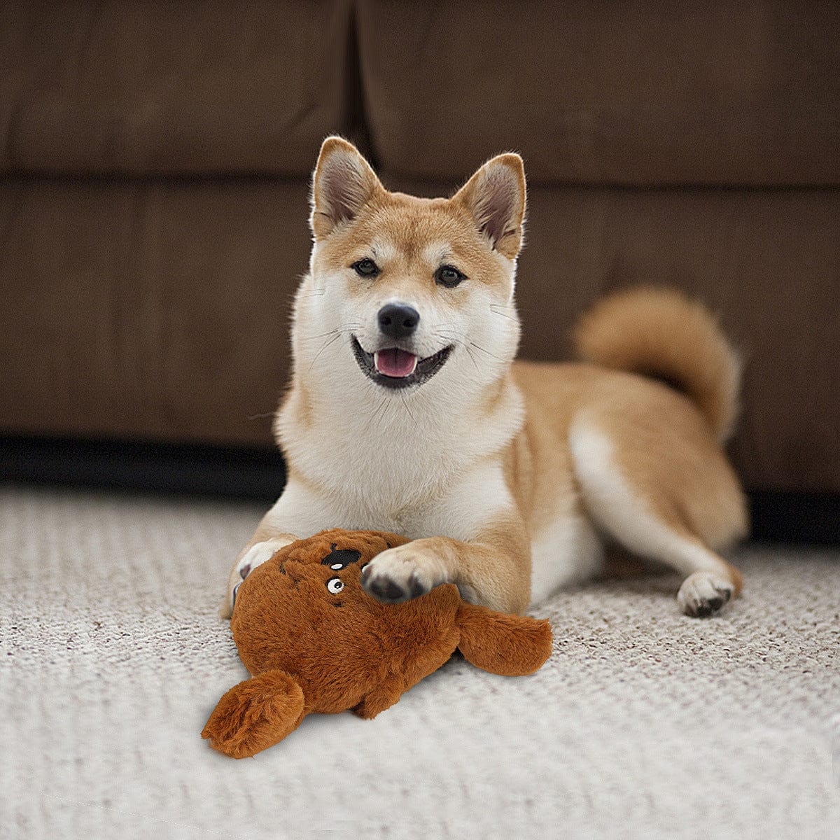 Interactive Squeaky Dog Toys