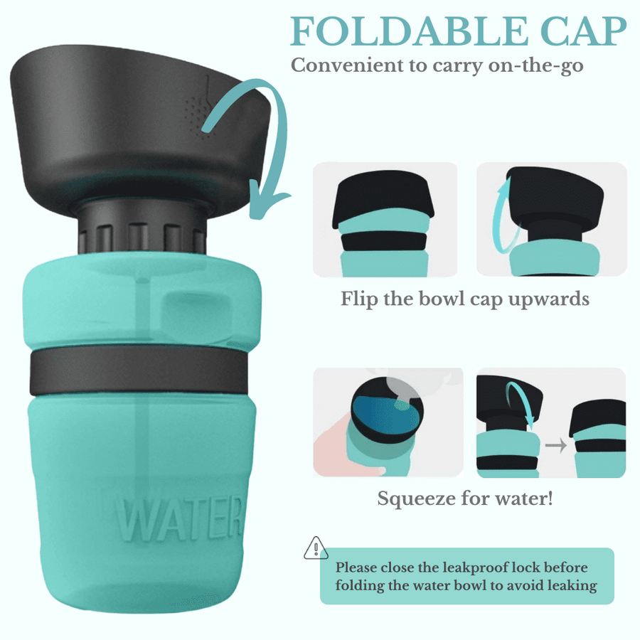 Outdoor Dog Water Bottle