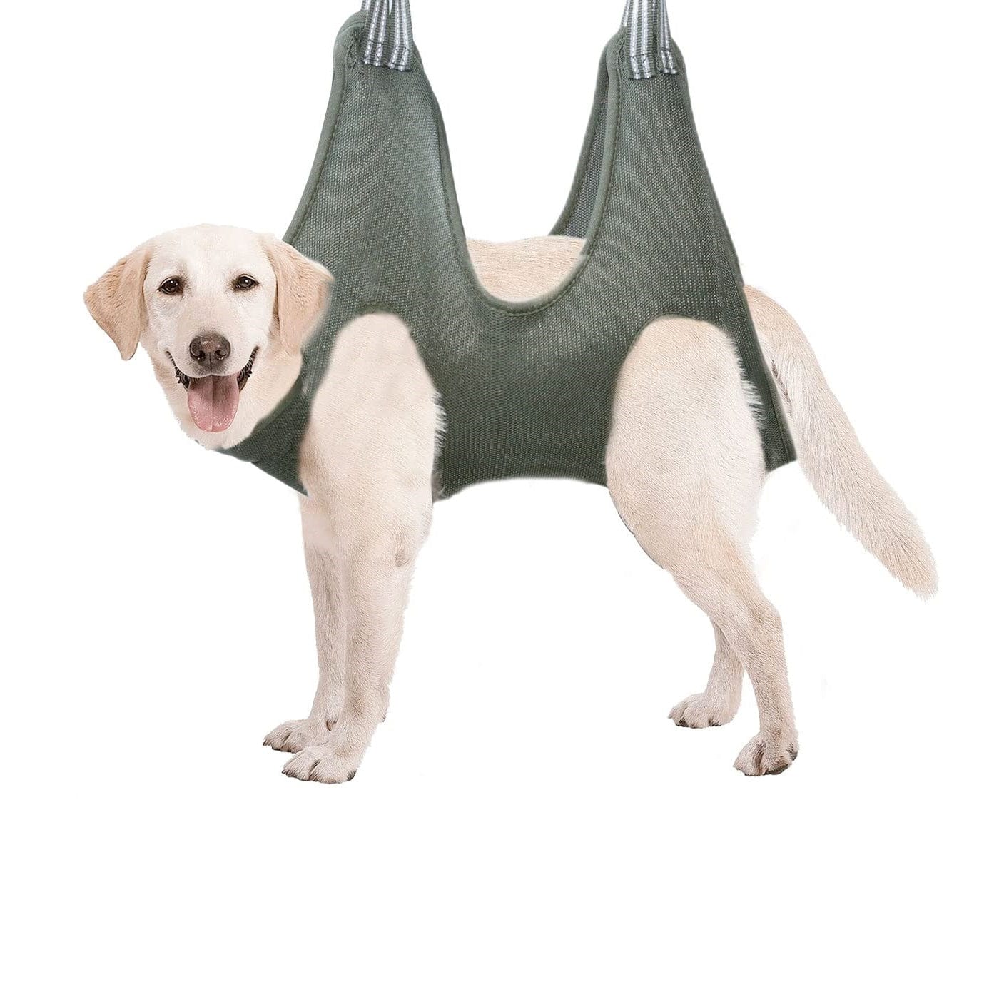 Pet Grooming Hammock